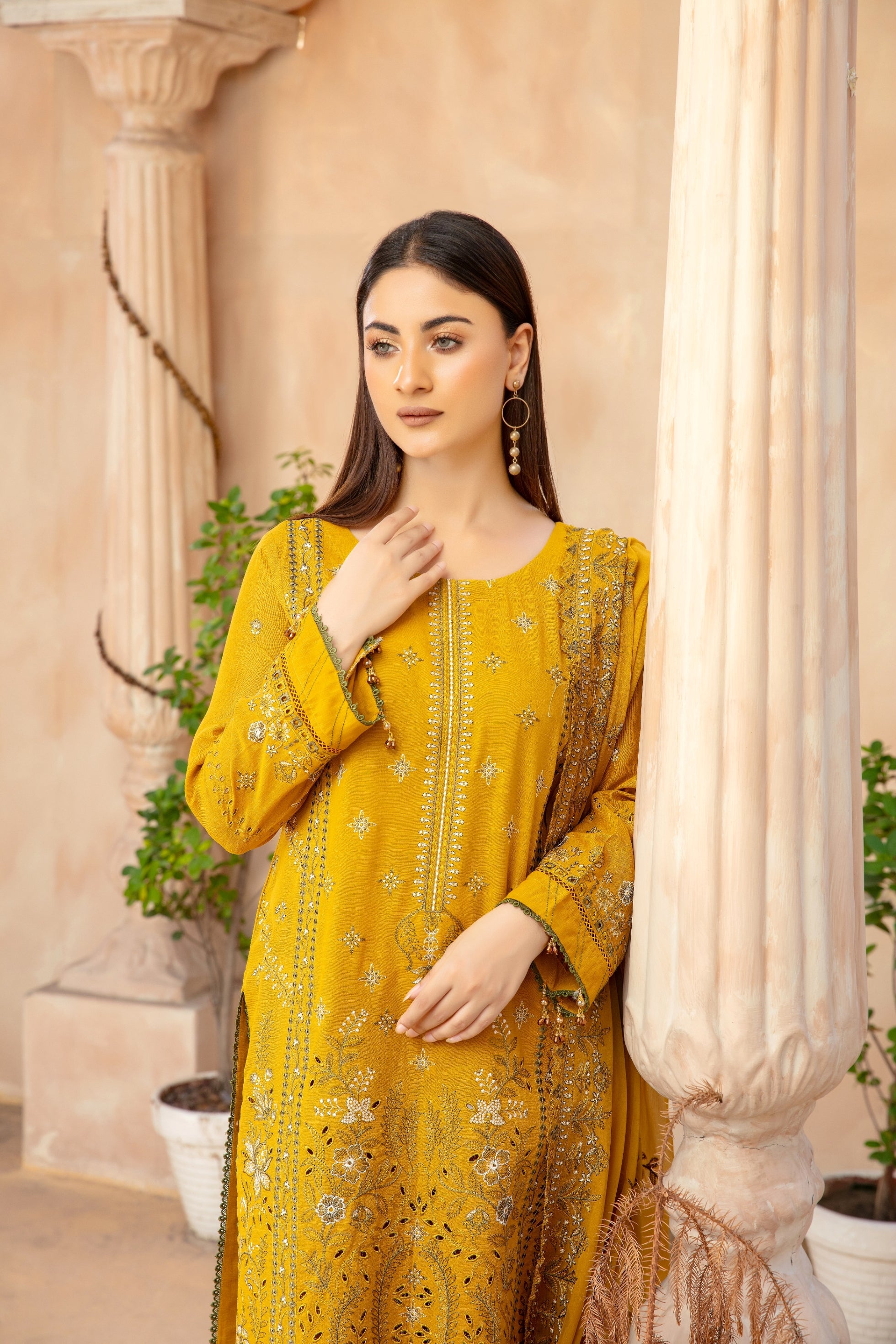 3-Pcs Luxury Embroidery Karandi Suits with Embroidery Cut Work Bamber  Dupatta by FizaMinahil