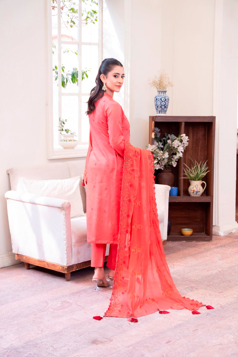 DSC08162_1200x1200.jpg?v=1739448766